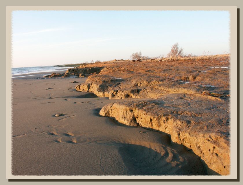 Il mare di Ostia come piace a me